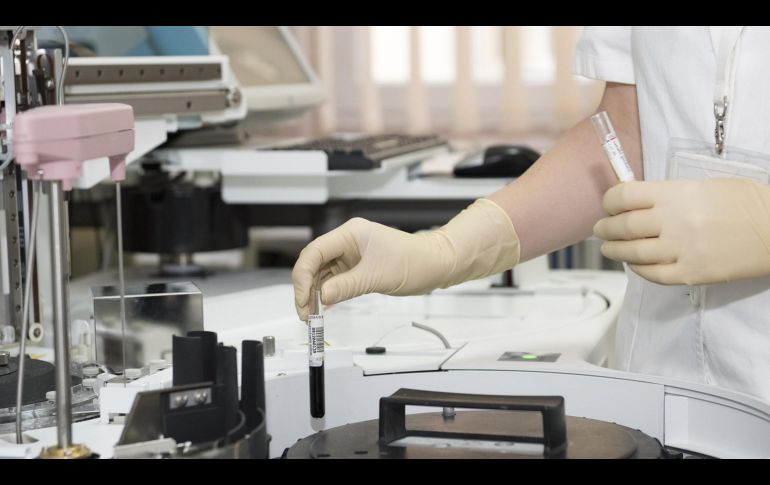 El padecimiento es causado por la larva de la mosca Cochliomyia hominivorax, que deposita sus huevecillos en heridas abiertas. ESPECIAL/PEXELS