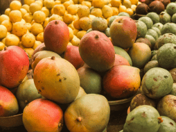 Los productores confirmaron que a la fecha acumulan casi 100 lotes del fruto con larvas. CANVA