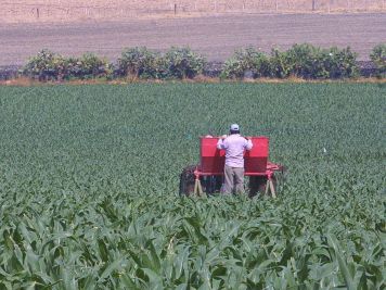 Alza de fertilizantes golpea al campo mexicano