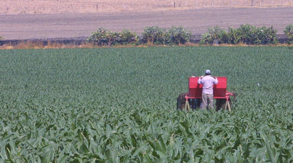 Alza de fertilizantes golpea al campo mexicano