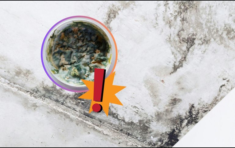 Actúa rápido ante la primera señal de decoloración en la pintura, la aparición de pequeños puntos negros o la percepción de un olor a humedad en casa. UNSPLASH / O. Shmahalo / P. Frames