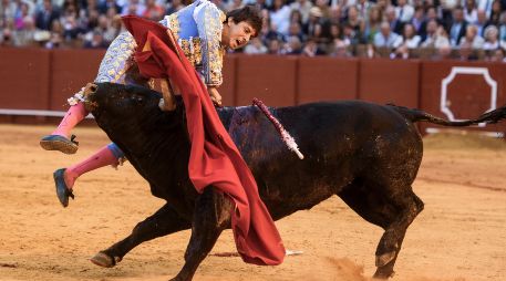 Andrés Roca Rey fue alcanzado al entrar a matar al quinto toro de la tarde, un ejemplar marcado con el hierro de Toros de Cortés. EFE/R. Caro