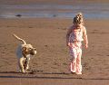 La educación, la socialización temprana y el cariño son los verdaderos pilares para una convivencia segura entre niños y perros.UNSPLASH / SHAYLYN