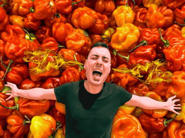 Este chile posee propiedades antioxidantes, antiinflamatorias y es una excelente fuente de vitamina C para el cuerpo. ESPECIAL / CANVA