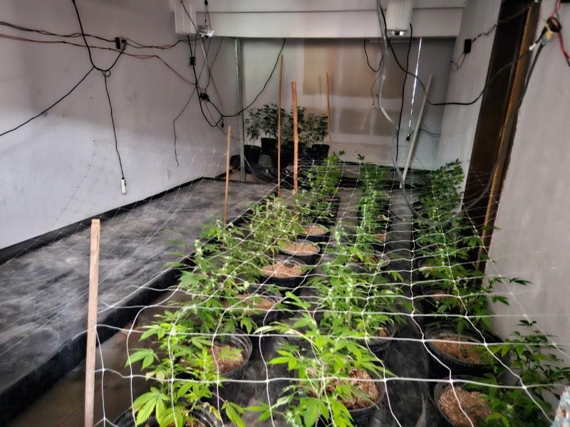 &nbsp;ESPECIAL / SSE