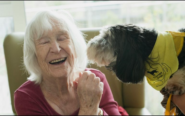 Antes de adoptar un perro para un adulto mayor, es importante consultarlo con la persona que sería su dueño. UNSPLASH / A. CYMRU