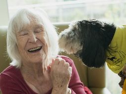 Antes de adoptar un perro para un adulto mayor, es importante consultarlo con la persona que sería su dueño. UNSPLASH / A. CYMRU