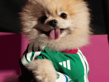 A medida que se acerca la inauguración, se espera que más marcas continúen sumándose a esta tendencia, diversificando su oferta y conectando con nuevas audiencias en torno a uno de los eventos más importantes del planeta. ESPECIAL/ INSTAGRAM/ adidasmx