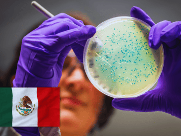 Urgen esquemas de retiro digno y relevo generacional para garantizar la soberanía del conocimiento en México. ESPECIAL / CANVA