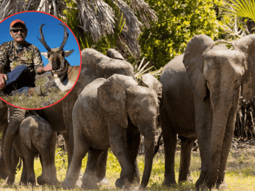 El recorrido tenía como objetivo principal la caza de antílopes en una zona protegida de África. UNSPLASH / S. SHIVAKUMAR