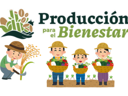 Este programa además de dar dinero, también pretende brindar capacitación técnica para mejorar las cosechas y asegurar la sostenibilidad a largo plazo. Programas para el Bienestar. CANVA