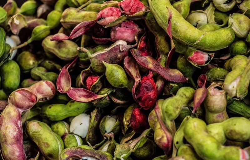 El guamúchil es otra fruta de temporada. ESPECIAL / CANVA&nbsp;