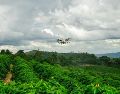 La siembra y fumigación con drones impulsa la producción y la sostenibilidad de los pastos en Brasil. EFE