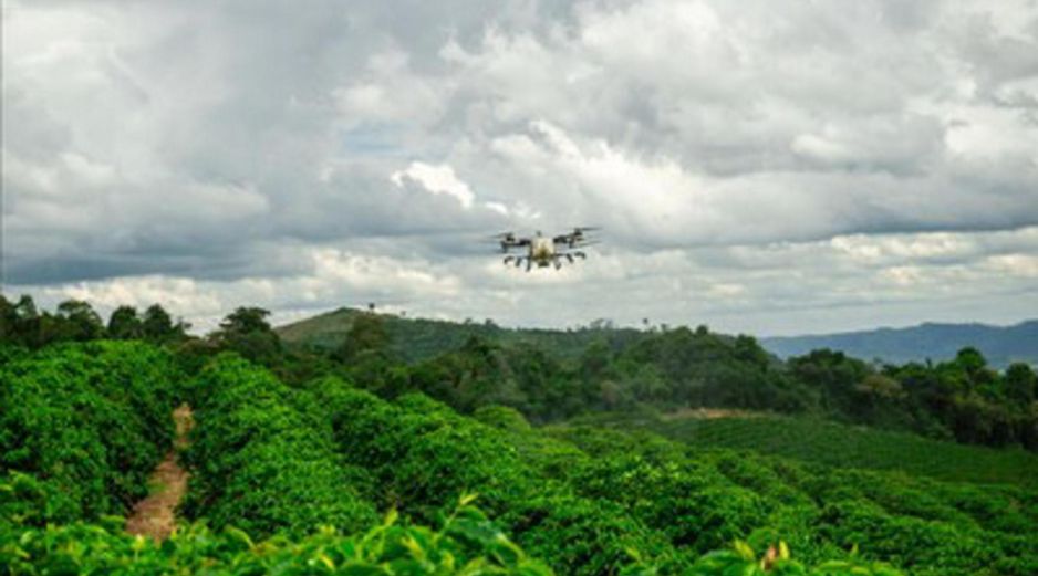 La siembra y fumigación con drones impulsa la producción y la sostenibilidad de los pastos en Brasil. EFE