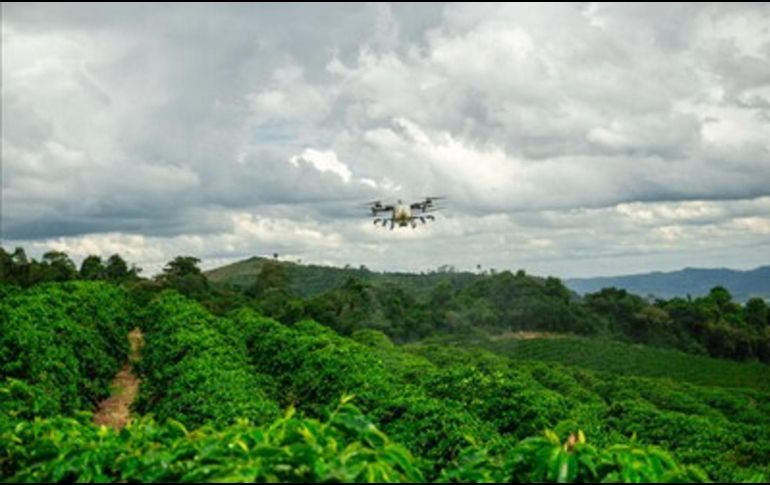 La siembra y fumigación con drones impulsa la producción y la sostenibilidad de los pastos en Brasil. EFE