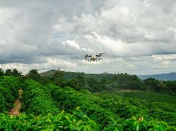 La siembra y fumigación con drones impulsa la producción y la sostenibilidad de los pastos en Brasil. EFE
