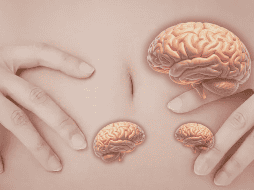 Contraer el abdomen no es solo una acción muscular. Podría formar parte de un mecanismo más amplio que influye en la circulación de fluidos dentro del cuerpo.  CANVA