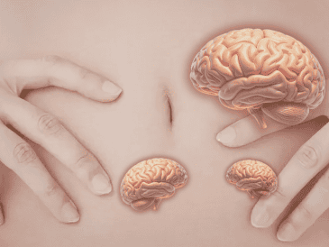 Contraer el abdomen no es solo una acción muscular. Podría formar parte de un mecanismo más amplio que influye en la circulación de fluidos dentro del cuerpo.  CANVA