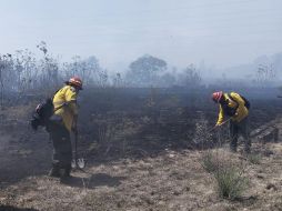 La coordinación entre dependencias y voluntarios ha sido clave en las acciones para contener el incendio forestal. CORTESÍA/UEPCBJ