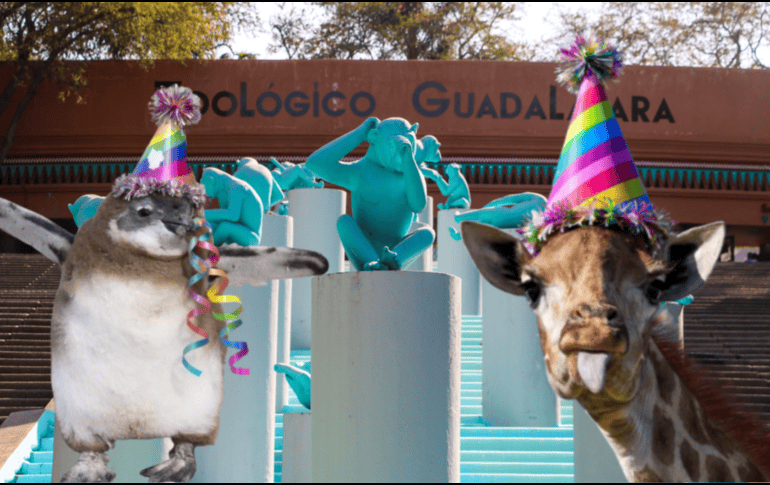 Si planeas aprovechar esta increíble promoción, te recordamos que el Zoológico Guadalajara se encuentra muy cerca de la Barranca de Huentitán. ESPECIAL/ EL INFORMADOR/ ARCHIVO/ Unsplash