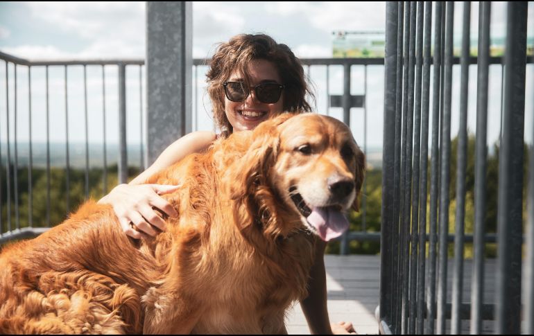 Conoce a los mejores razas de perro para convertirse en tu nuevo gran amigo y mejor compañía. UNSPLASH / B. ROGERS