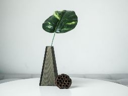 Las plantas de interior para refrescar el hogar funcionan mediante procesos naturales como la transpiración.  UNSPLASH / L. LE