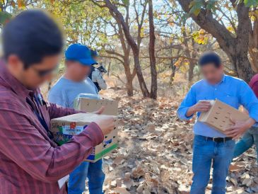 La Procuraduría Federal de Protección al Ambiente (Profepa) realizó un operativo en materia de vida silvestre y aseguró 99 aves que estaban siendo comercializadas de manera ilegal dentro del mercado "San Juan de Dios" de Guadalajara. CORTESÍA