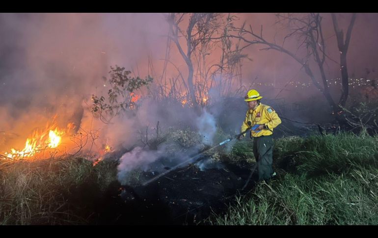Fueron brigadistas de la Unidad Forestal y Bomberos de Base 1 de la Dirección de Protección Civil y Bomberos del municipio de Zapopan quienes acudieron a atender el reporte del siniestro y combatieron el fuego. CORTESÍA / PC Zapopan