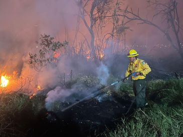 Fueron brigadistas de la Unidad Forestal y Bomberos de Base 1 de la Dirección de Protección Civil y Bomberos del municipio de Zapopan quienes acudieron a atender el reporte del siniestro y combatieron el fuego. CORTESÍA / PC Zapopan