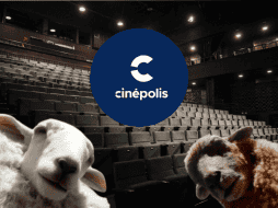 Acompañamos a descubrir lo mejor del cine esta semana en las salas de Cinépolis. ESPECIAL/ Unsplash