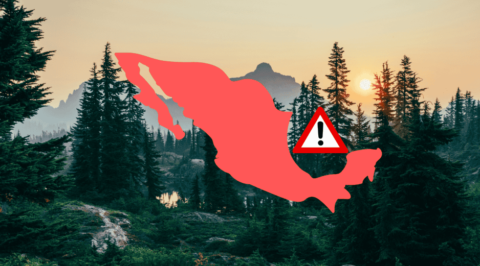 El documento advierte que en el año 2025 se documentaron 135 eventos de agresión con 314 agresiones contra ambientalistas. UNSPLASH / S. A