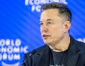 El fundador de Tesla dijo que fue "un tonto" al entregar a OpenAI 38 millones de dólares en financiación. EFE/G. EHRENZELLER