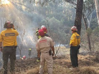 Los elementos de Protección Civil y Bomberos de Guadalajara y Zapopan trabajaron de manera conjunta en el combate al incendio, mientras policías municipales resguardaron la zona para facilitar el acceso de las unidades de emergencia.
