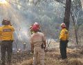 Los elementos de Protección Civil y Bomberos de Guadalajara y Zapopan trabajaron de manera conjunta en el combate al incendio, mientras policías municipales resguardaron la zona para facilitar el acceso de las unidades de emergencia.