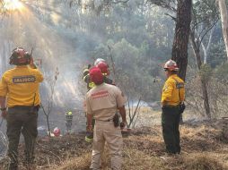 Los elementos de Protección Civil y Bomberos de Guadalajara y Zapopan trabajaron de manera conjunta en el combate al incendio, mientras policías municipales resguardaron la zona para facilitar el acceso de las unidades de emergencia.