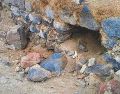 Foto que refleja la destrucción del sitio arqueológico de Los Tlalteles. CORTESÍA