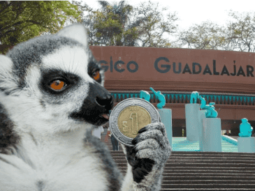 Si planeas aprovechar esta increíble promoción, te recordamos que el Zoológico Guadalajara se encuentra muy cerca de la Barranca de Huentitán. ESPECIAL/ EL INFORMADOR/ ARCHIVO/ Unsplash