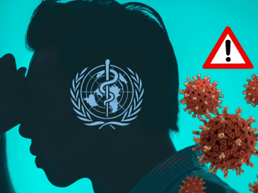 La Organización Mundial de la Salud (OMS) reportó un foco de infección de hantavirus en el crucero MV Hondius UNSPLASH /  R. TRIP / UNSPLASH / CDC