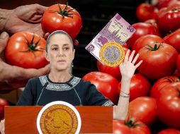 Sheinbaum destacó que las políticas implementadas para controlar el costo de la gasolina y el diésel han sido fundamentales para evitar el disparo de la inflación. EL INFORMADOR / ARCHIVO / EFE / I. Esquivel