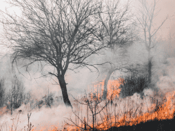 La titular de la Coesfo, Magdalena María Coello Castillo, exhortó a la ciudadanía a utilizar el fuego de manera responsable, particularmente durante esta temporada de calor extremo que afecta distintas regiones del país. CANVA