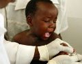 Los expertos consideran que ampliar la cobertura vacunal podría transformar radicalmente el combate contra la malaria en los próximos años. EFE / ARCHIVO