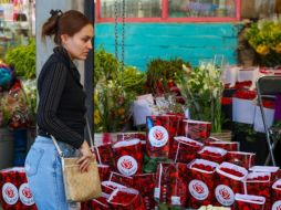 Lo que más se vende para el el 10 de mayo son rosas blancas y rojas, gerberas, astromelias, lilis y girasoles, entre otras especies. EL INFORMADOR / A. NAVARRO