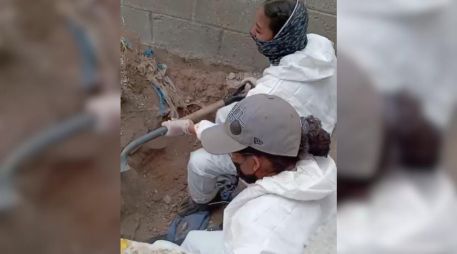 Los hallazgos fueron en Ixtlahuacán de los Membrillos. ESPECIAL