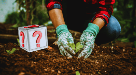El secreto de quienes logran las mejores cosechas radica en la preparación previa del suelo.  ESPECIAL / CANVA