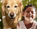 Las diferencias en el comportamiento canino no dependen exclusivamente de la raza, sino que están profundamente ligadas a la educación proporcionada por los tutores. ESPECIAL/Canva/Unsplash