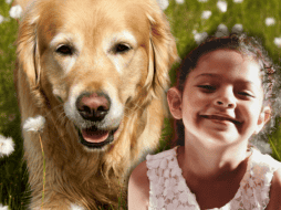 Las diferencias en el comportamiento canino no dependen exclusivamente de la raza, sino que están profundamente ligadas a la educación proporcionada por los tutores. ESPECIAL/Canva/Unsplash