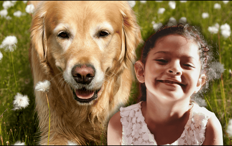 Las diferencias en el comportamiento canino no dependen exclusivamente de la raza, sino que están profundamente ligadas a la educación proporcionada por los tutores. ESPECIAL/Canva/Unsplash