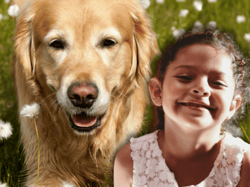 Las diferencias en el comportamiento canino no dependen exclusivamente de la raza, sino que están profundamente ligadas a la educación proporcionada por los tutores. ESPECIAL/Canva/Unsplash