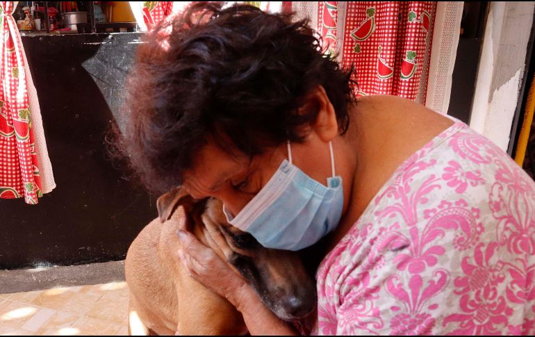 Estos son los beneficios a la salud de tener un perro ¿son medibles por la ciencia? SUN / ARCHIVO
