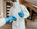 La variante involucrada, conocida como virus de los Andes, es endémica de regiones montañosas en Argentina y Chile, y destaca por ser la única cepa de hantavirus con capacidad comprobada de transmisión de persona a persona. CANVA
